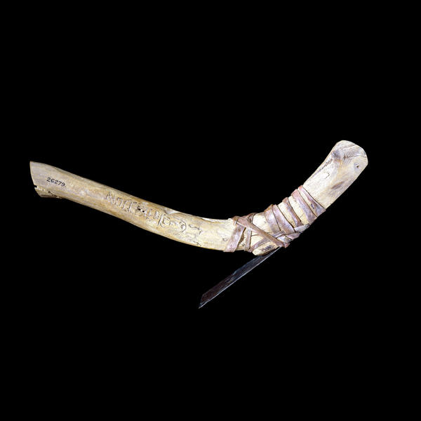 Wooden adze with bronze blade